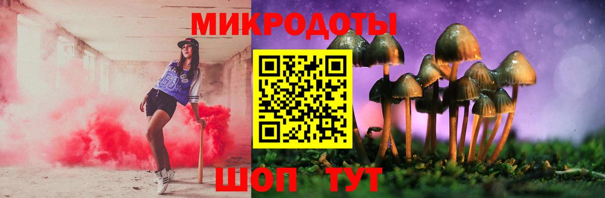 Строитель  Псилоцибиновые грибы прущие грибы  Вход с VPN 